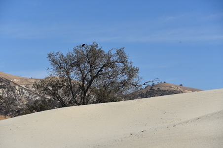 Enlarge photo 36