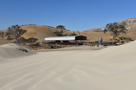 Enlarge photo 37