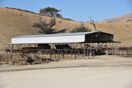 Enlarge photo 38