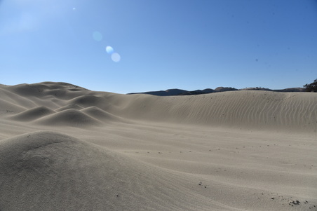 Enlarge photo 39