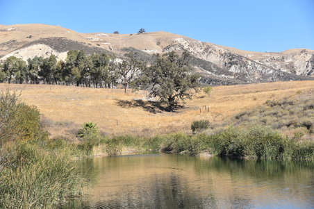 Enlarge photo 53