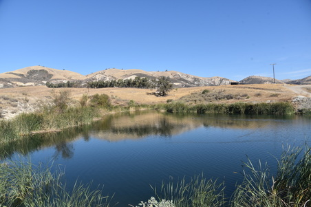 Enlarge photo 55