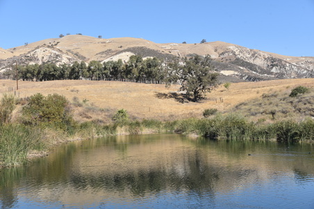 Enlarge photo 56