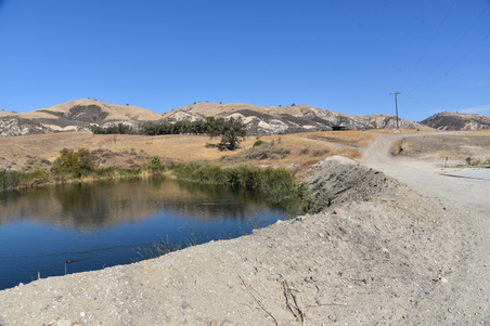 Enlarge photo 59