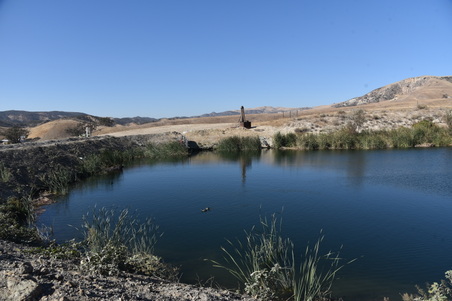 Enlarge photo 62