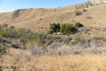 Enlarge photo 87