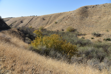 Enlarge photo 95