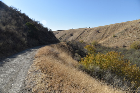 Enlarge photo 94