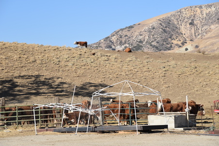 Enlarge photo 110