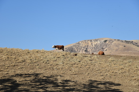 Enlarge photo 114