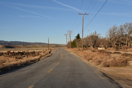 Enlarge photo 40