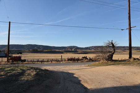 Enlarge photo 50