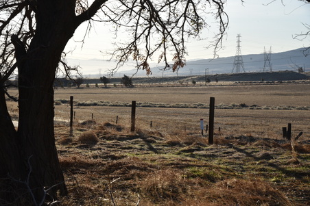 Enlarge photo 66