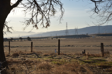 Enlarge photo 67