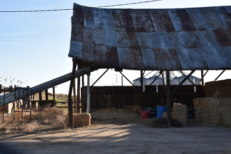 Enlarge photo 69