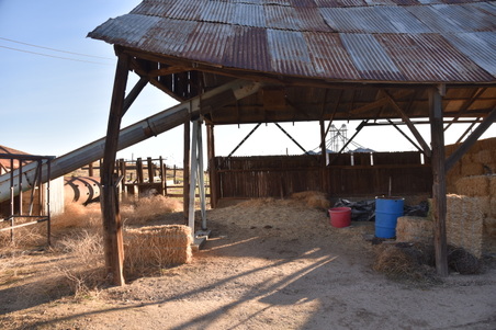 Enlarge photo 70