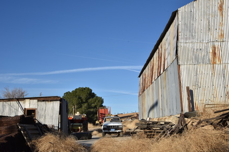 Enlarge photo 81