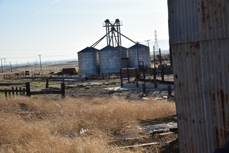Enlarge photo 97