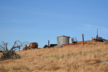 Enlarge photo 103
