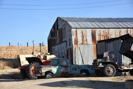 Enlarge photo 105