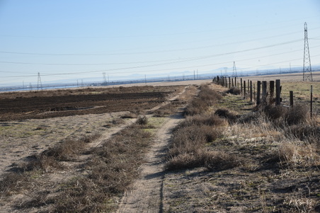 Enlarge photo 112