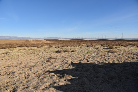 Enlarge photo 116