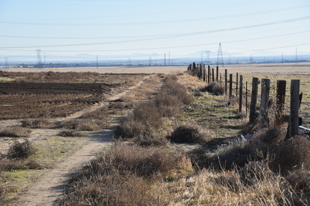 Enlarge photo 118