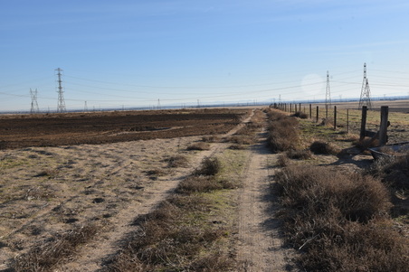 Enlarge photo 124