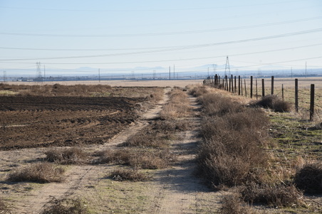 Enlarge photo 125