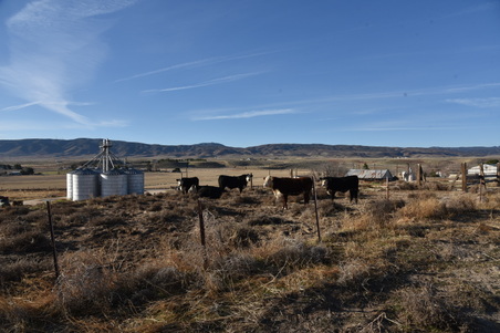 Enlarge photo 128