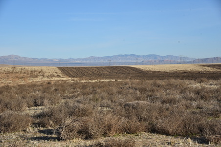 Enlarge photo 132