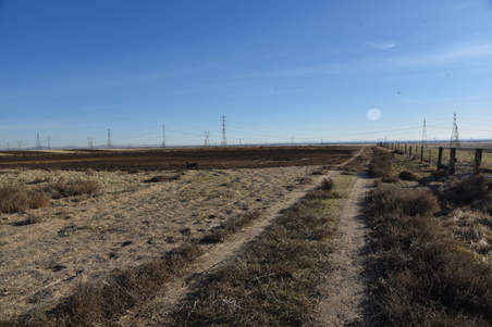 Enlarge photo 133