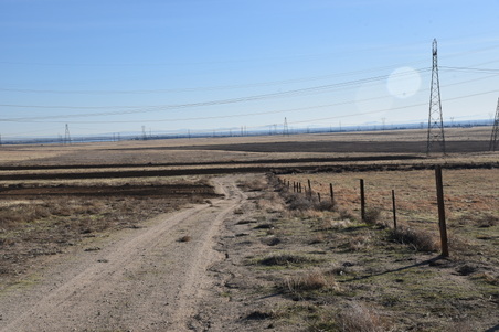 Enlarge photo 135