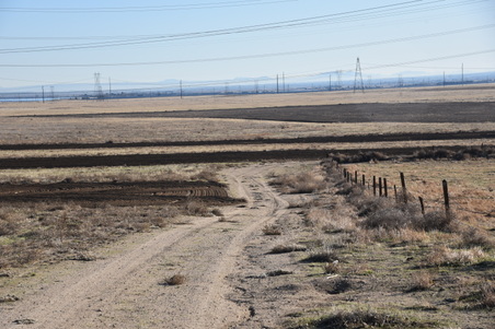 Enlarge photo 136