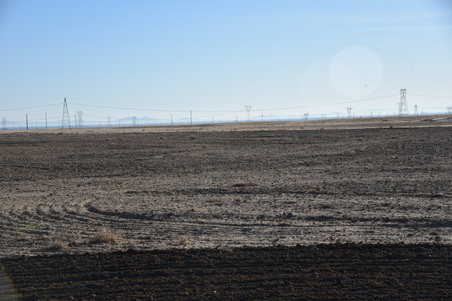 Enlarge photo 154