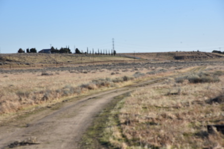 Enlarge photo 157