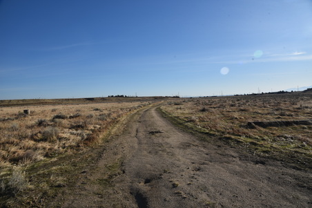 Enlarge photo 163