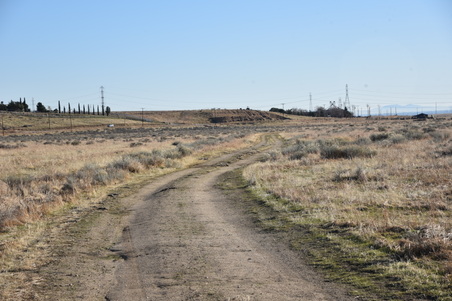 Enlarge photo 164