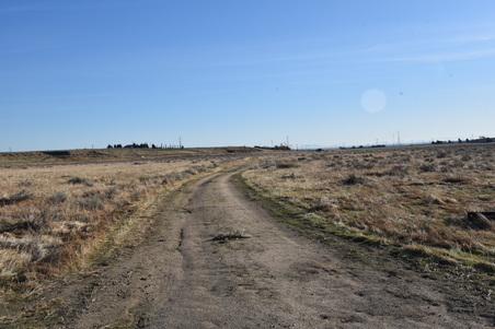 Enlarge photo 165