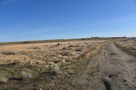 Enlarge photo 168