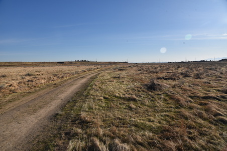 Enlarge photo 169