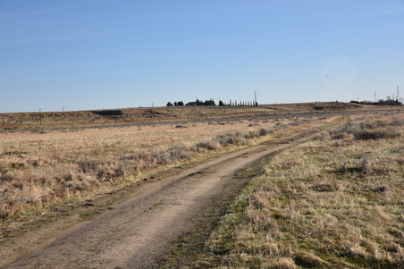Enlarge photo 170