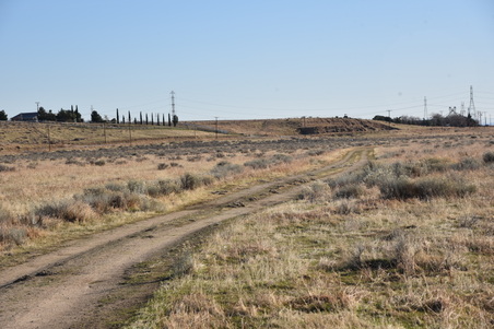 Enlarge photo 171