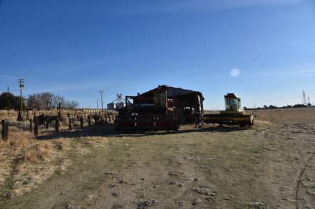 Enlarge photo 176