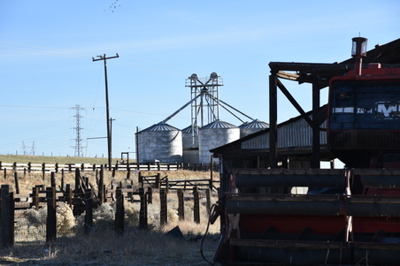 Enlarge photo 199