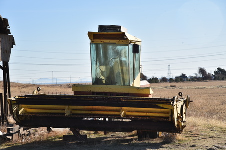Enlarge photo 200