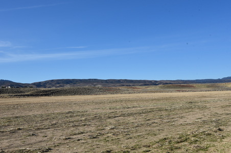 Enlarge photo 204