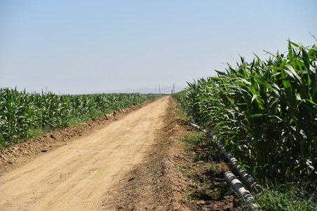 Enlarge photo 7
