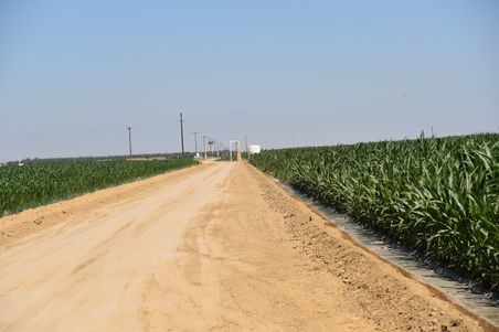 Enlarge photo 10