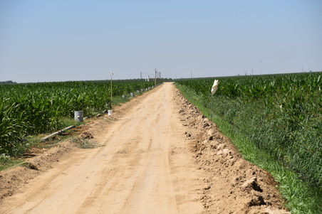 Enlarge photo 18